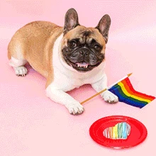 LGBTQ Pride by Burst