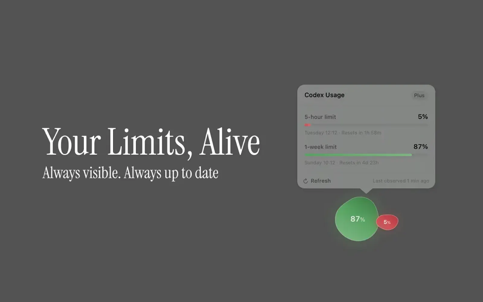 Orb & Bloom: Cute AI Usage Limits screenshot 2