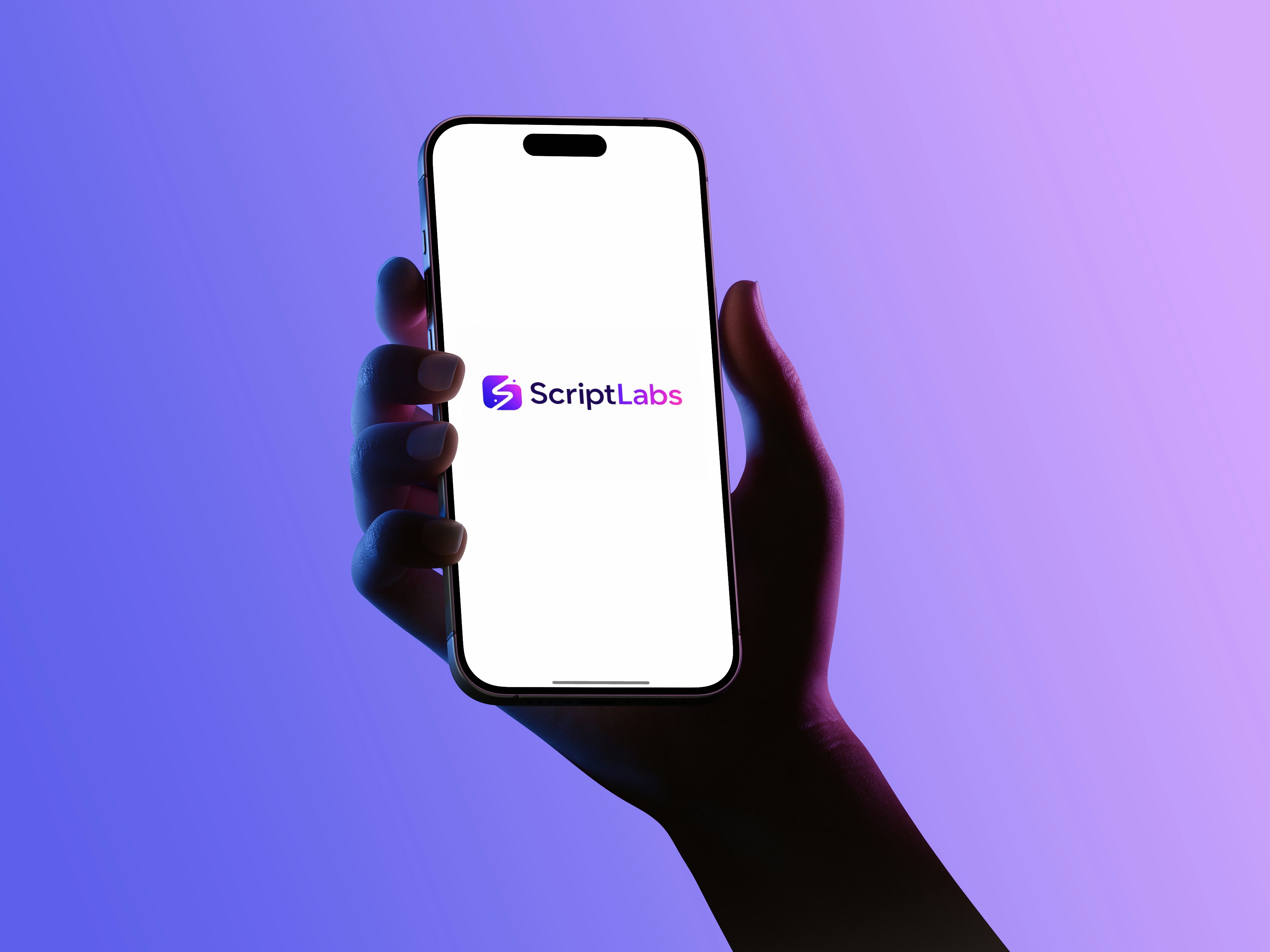ScriptLabs gallery image