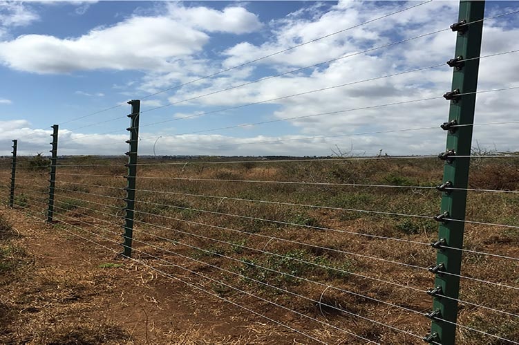 Elektrische hekinstallatie in Kenia media 3