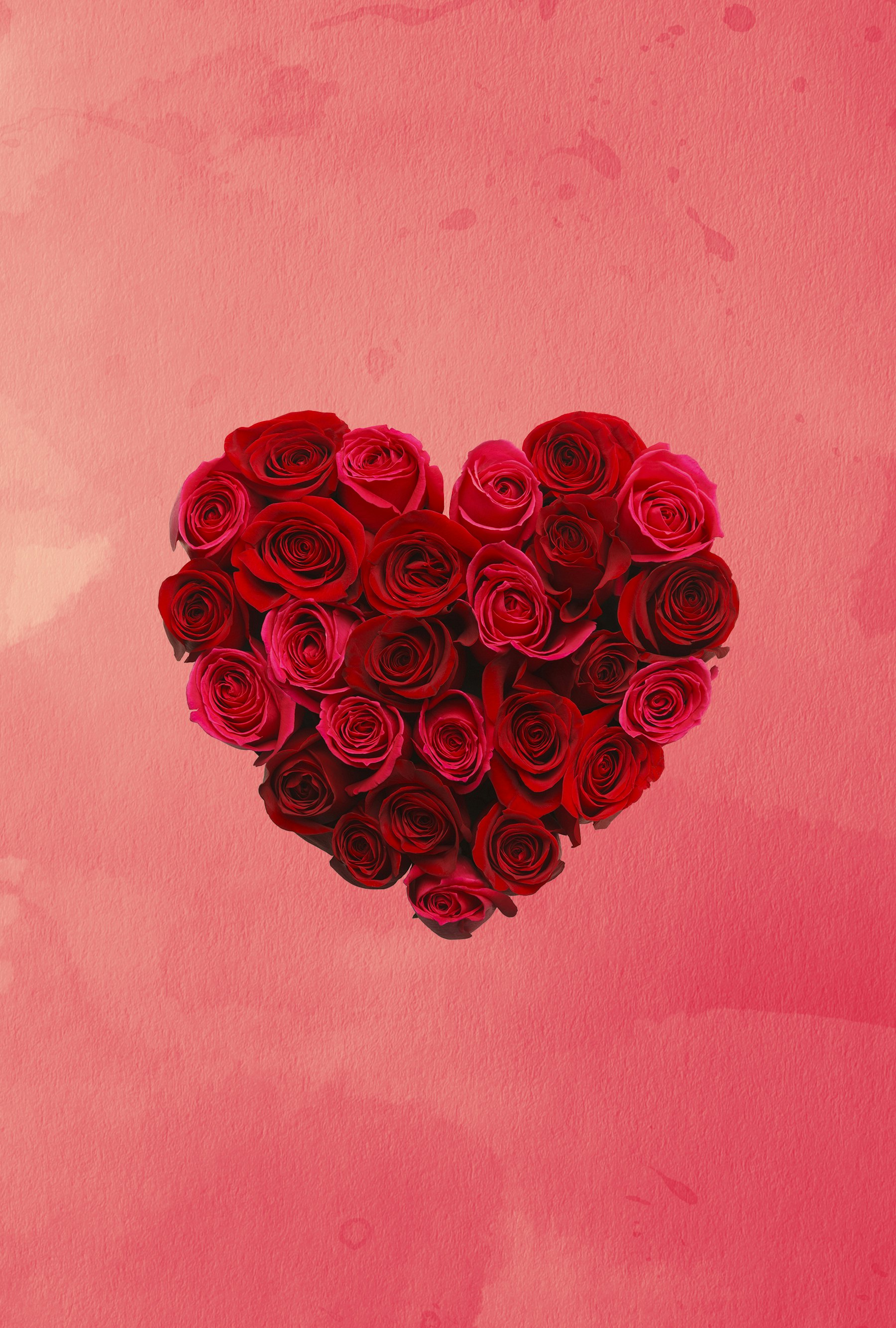 Valentine Tymline gallery image