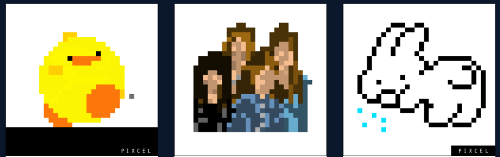 Pixcel gallery image