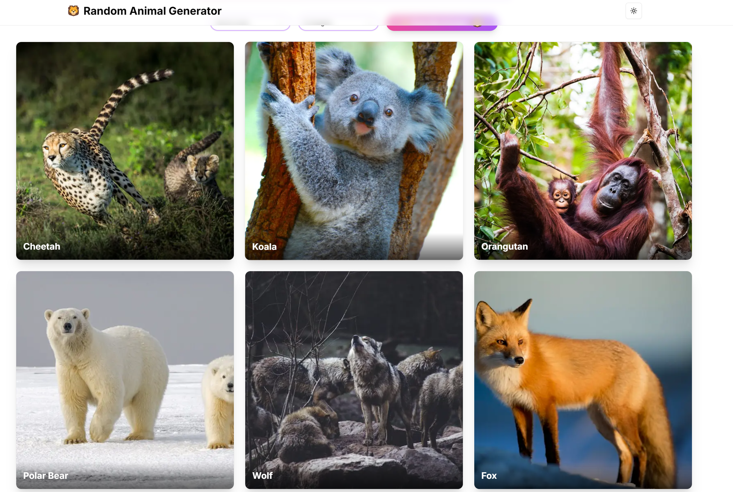 Random Animal Generator gallery image