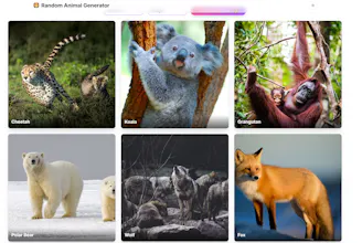 Random Animal Generator gallery image
