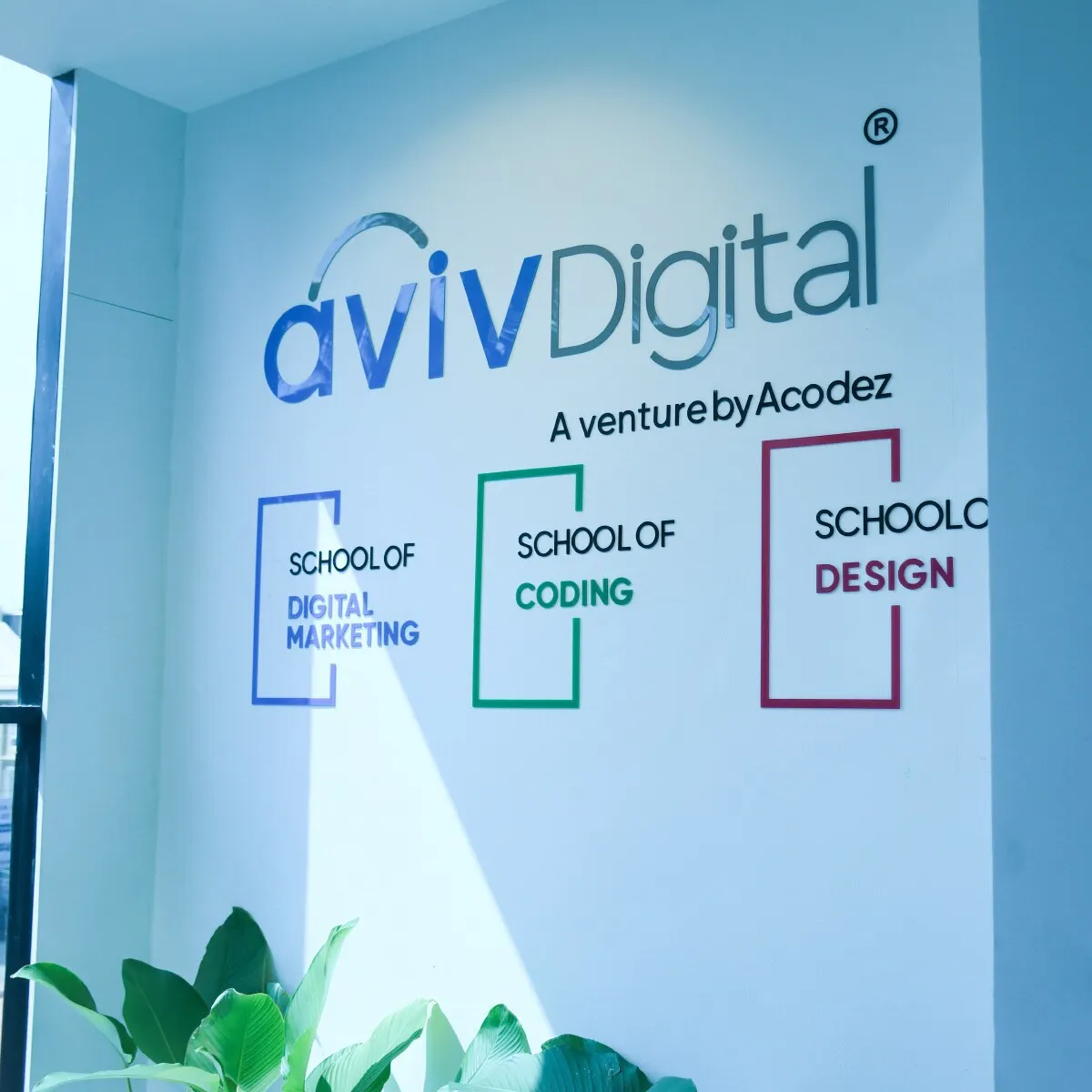 AvivDigital gallery image