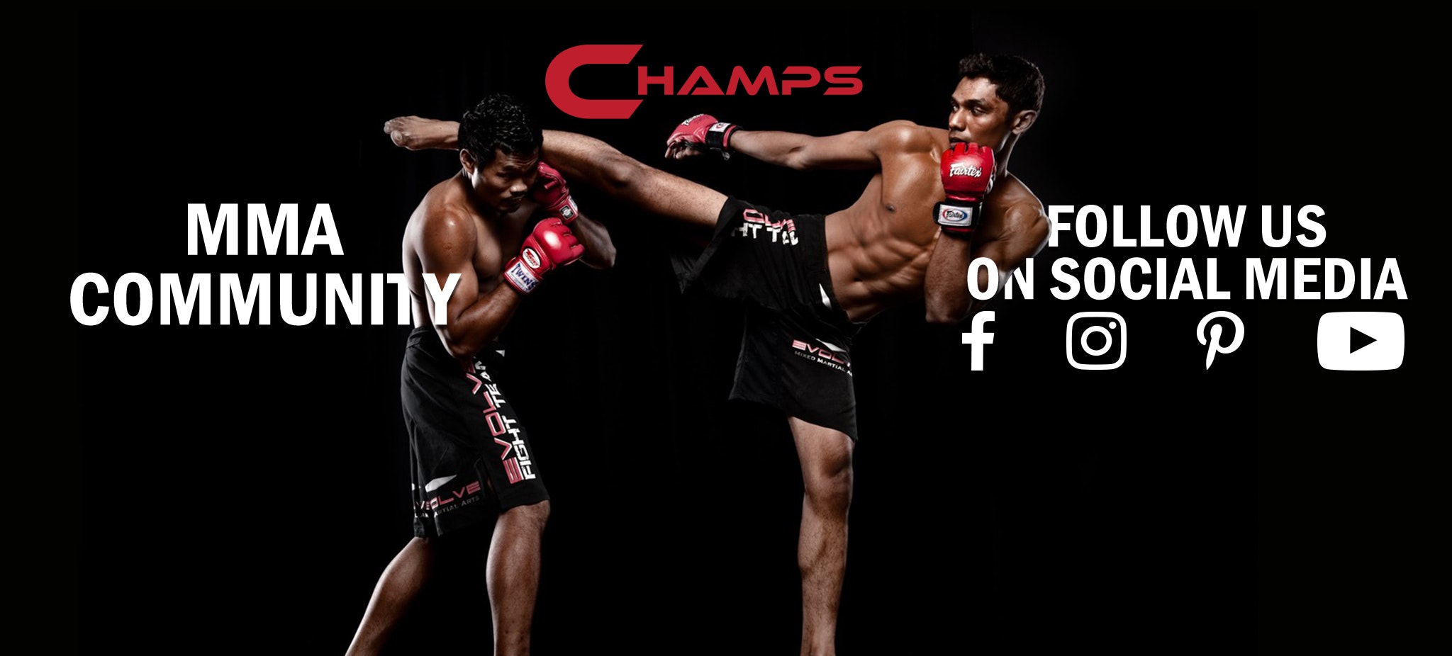 Champs MMA gallery image