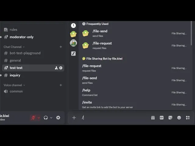 Discord Large File Sharing App  gallery image