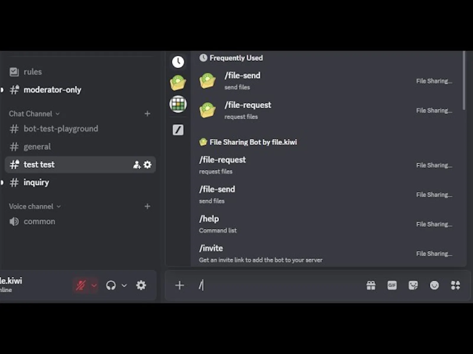 Discord Large File Sharing App  screenshot 1 (video preview)