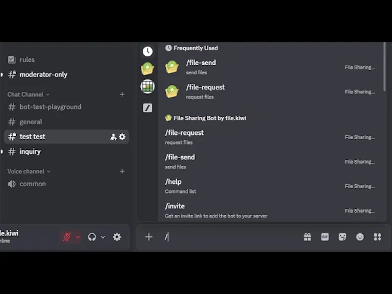 Discord Large File Sharing App  screenshot 1 (video preview)