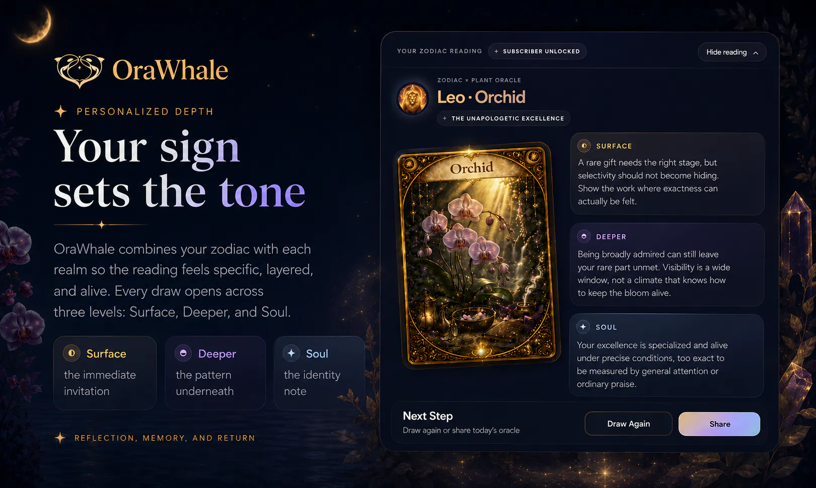 OraWhale gallery image