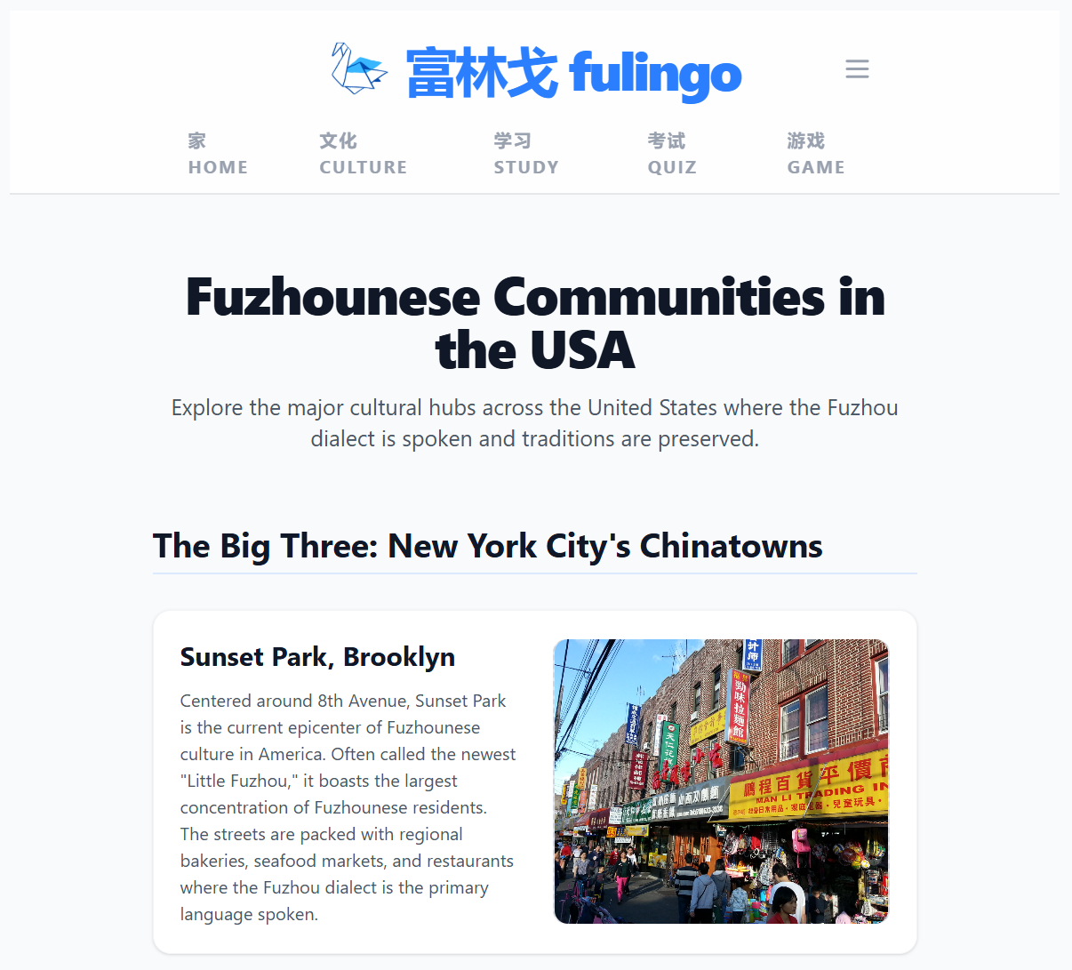 fulingo gallery image
