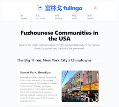 fulingo gallery image