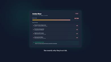 ChurnHalt: churn intelligence for Stripe gallery image
