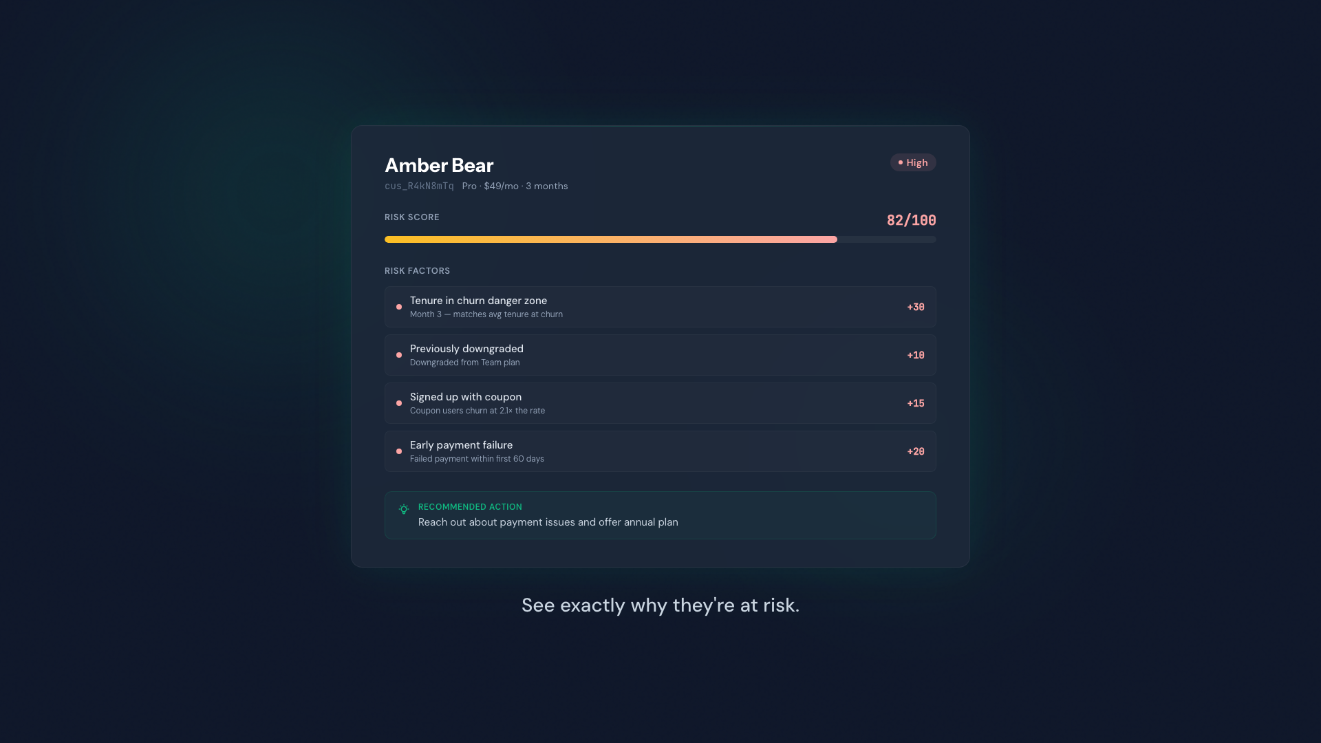 ChurnHalt: churn intelligence for Stripe - Screenshot 2 showing product features and functionality