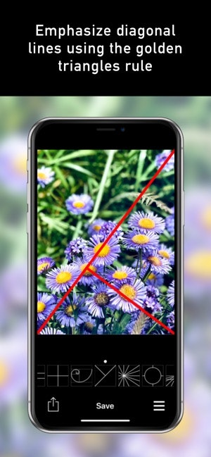 Wise Photos app gallery image