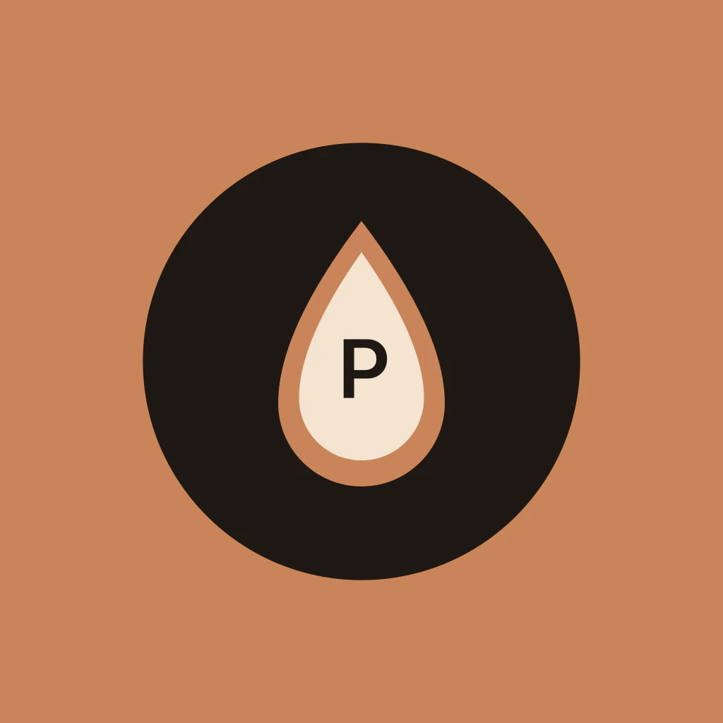 PullBook logo