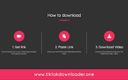TikTok Downloader media 2