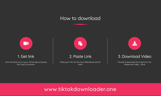 Tiktok downloader with watermark