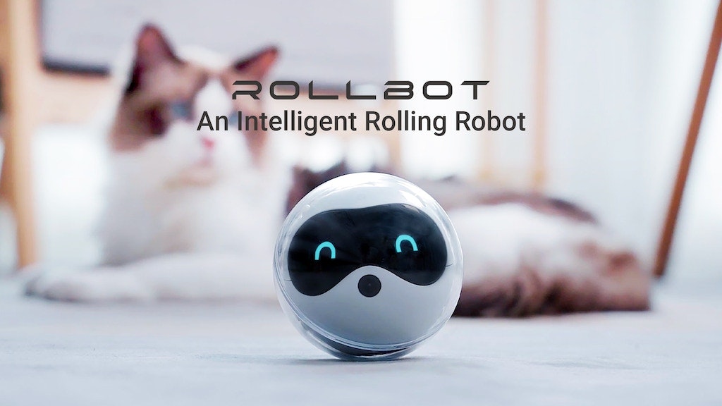 Rollbot媒体2