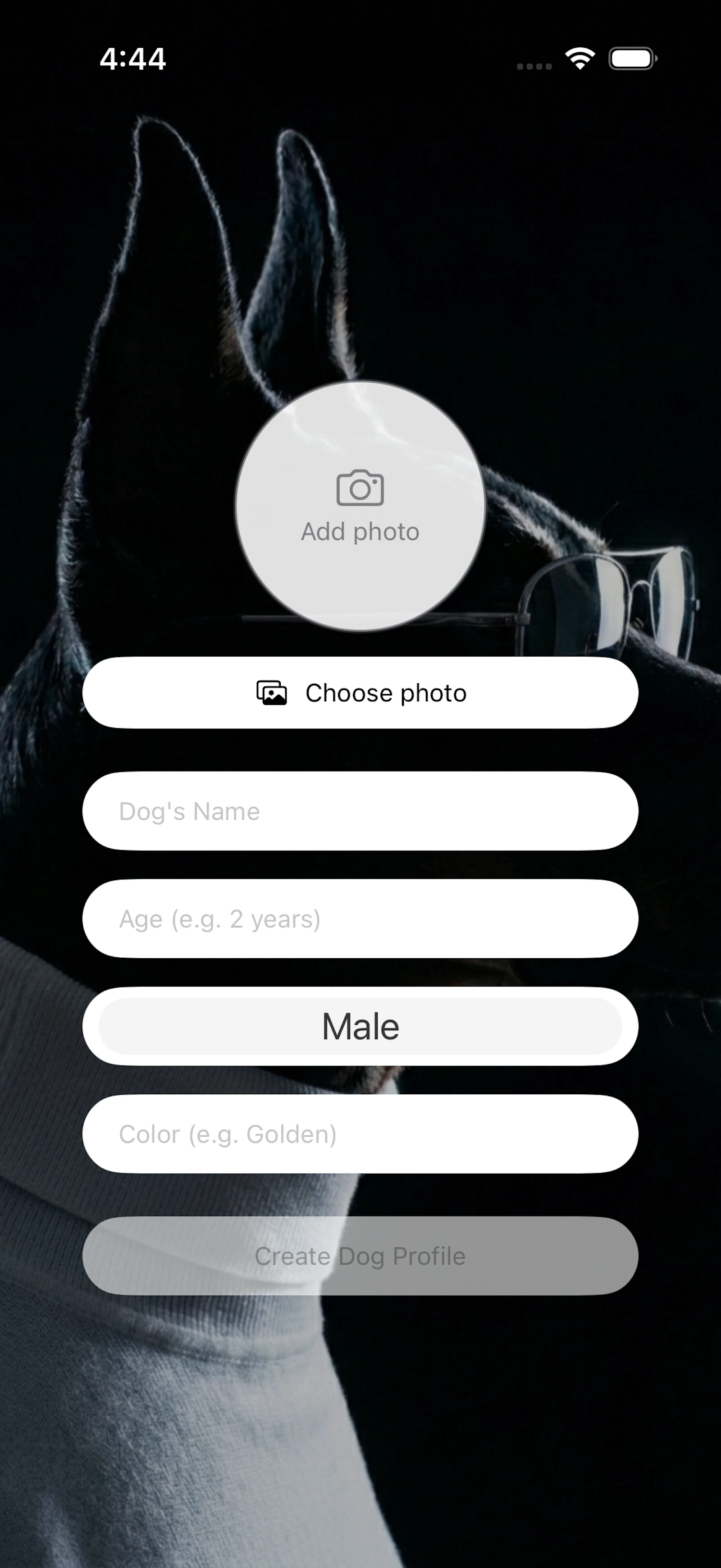 DoggyFresh screenshot 7