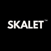 Skalet Agency: SEO Agency in Delhi