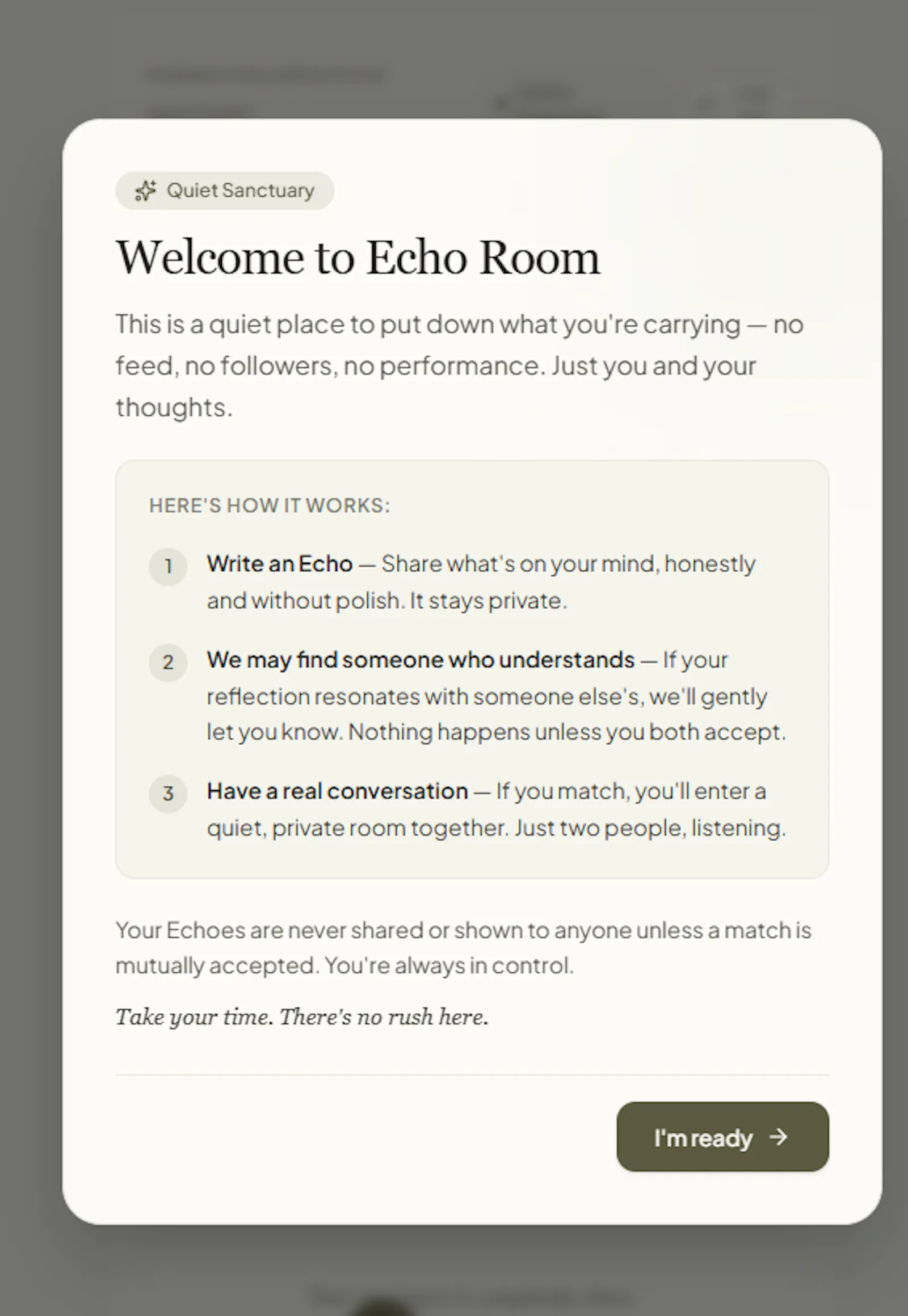 Echo Room  screenshot 4