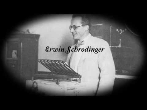 Dead Cat gallery image