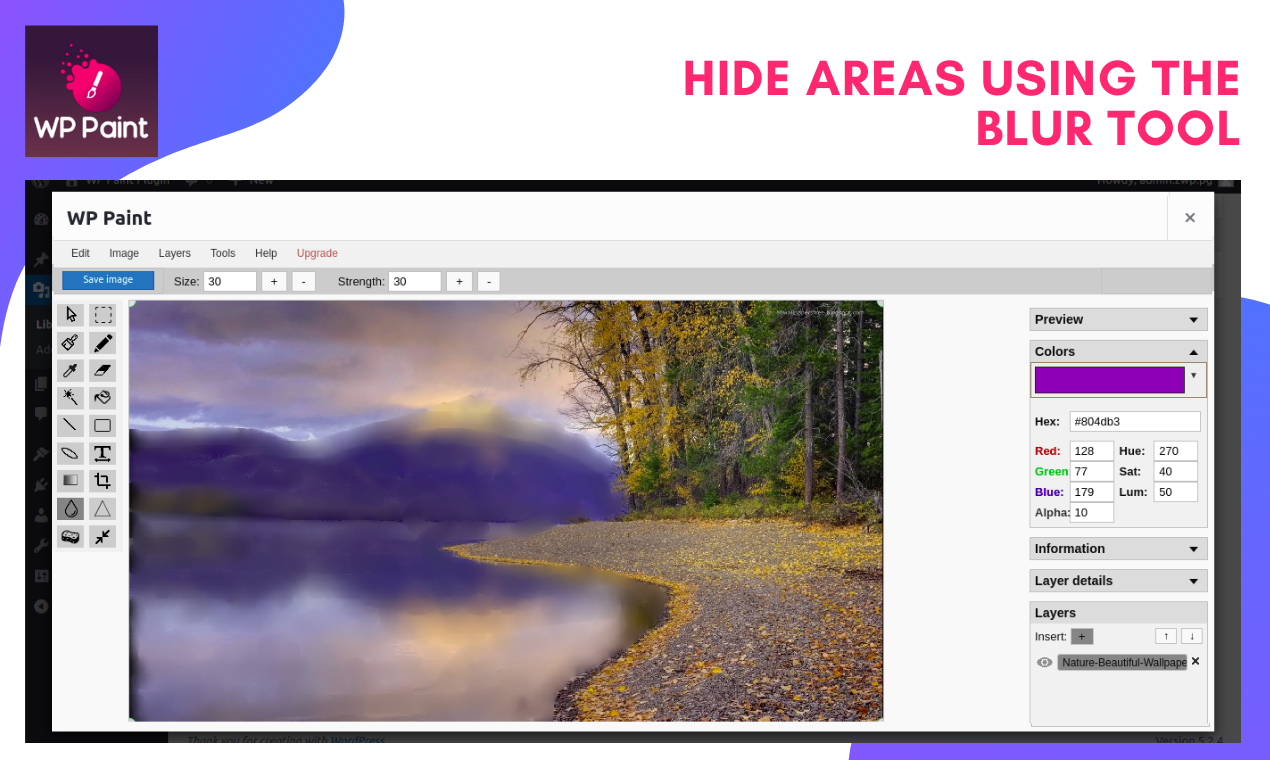 WP Paint gallery image