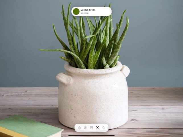 col.or gallery image