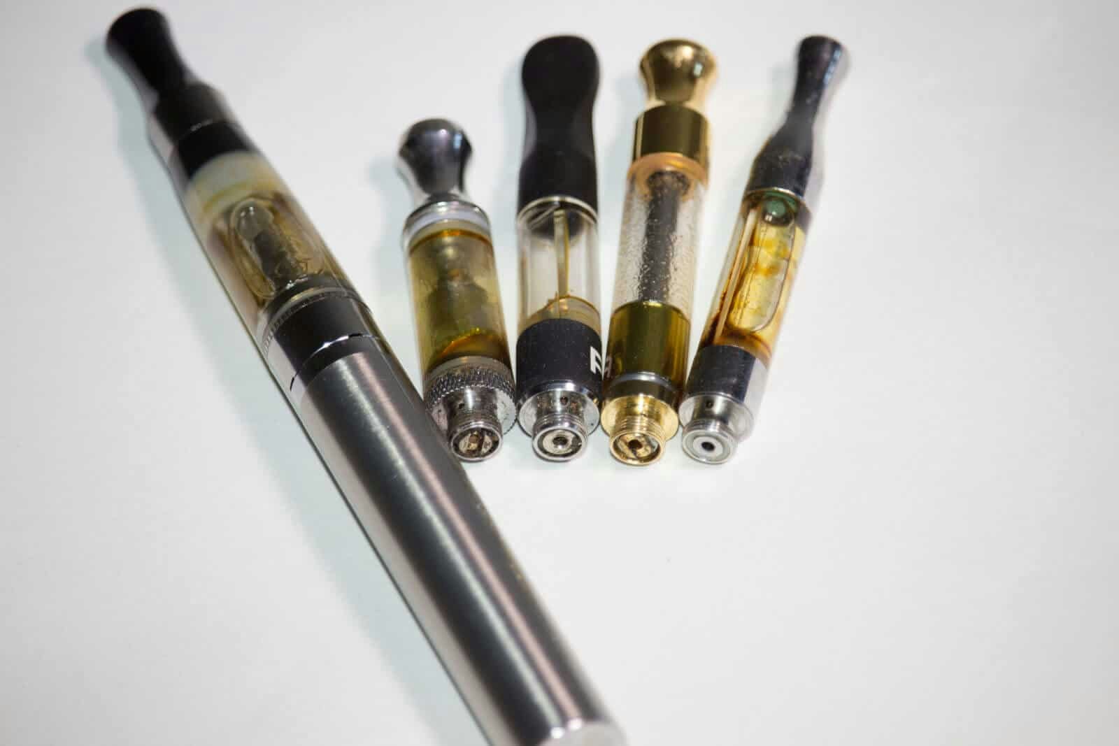 Calibud online store gallery image