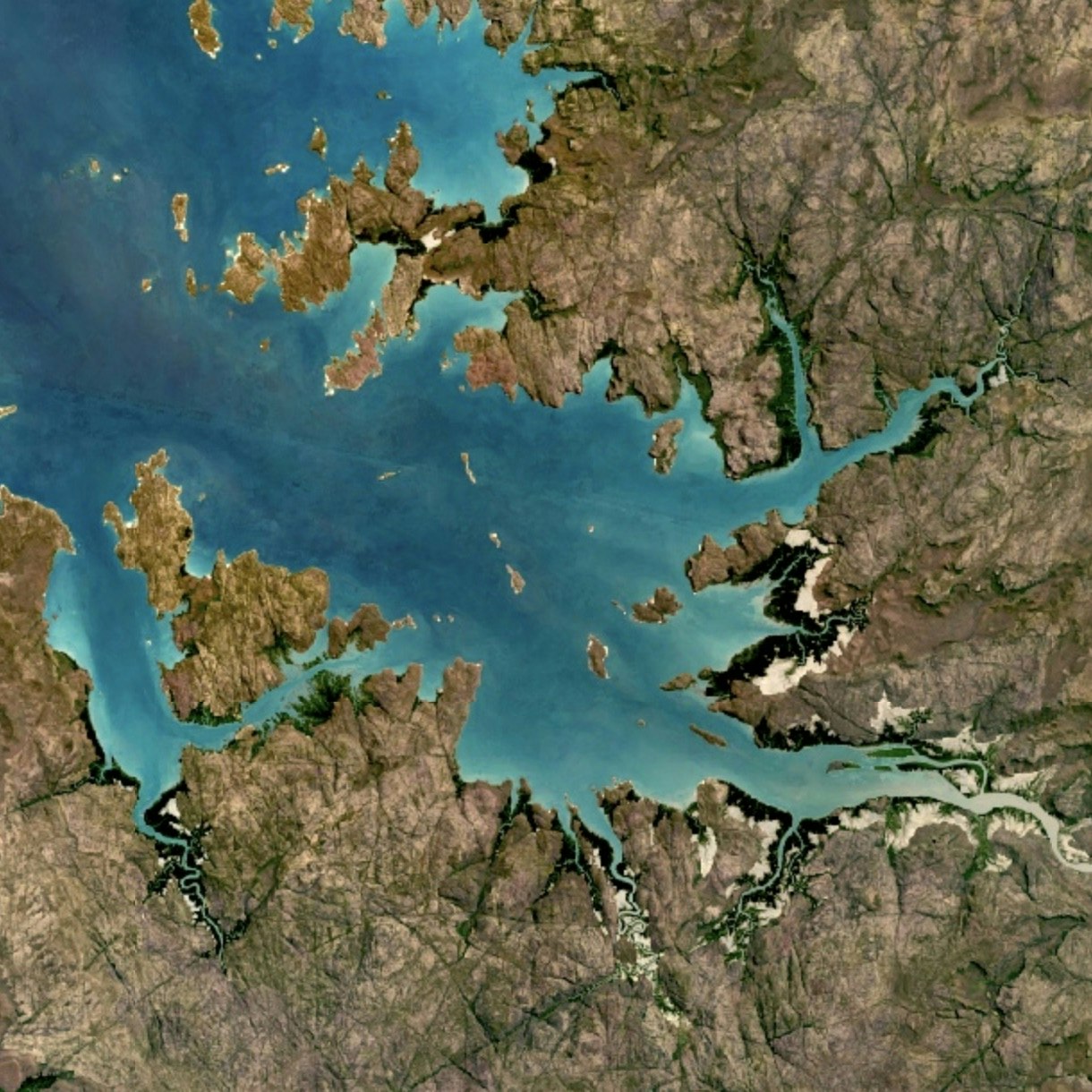 Google Earth Engine gallery image
