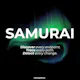 SAMURAI - Network Analyzer