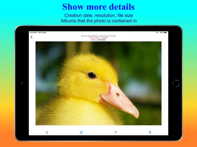 PhotoDuck - Manage photos easily gallery image