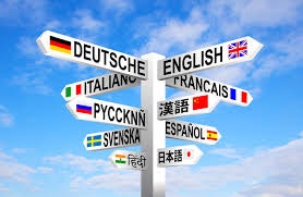 LinguaFlow gallery image