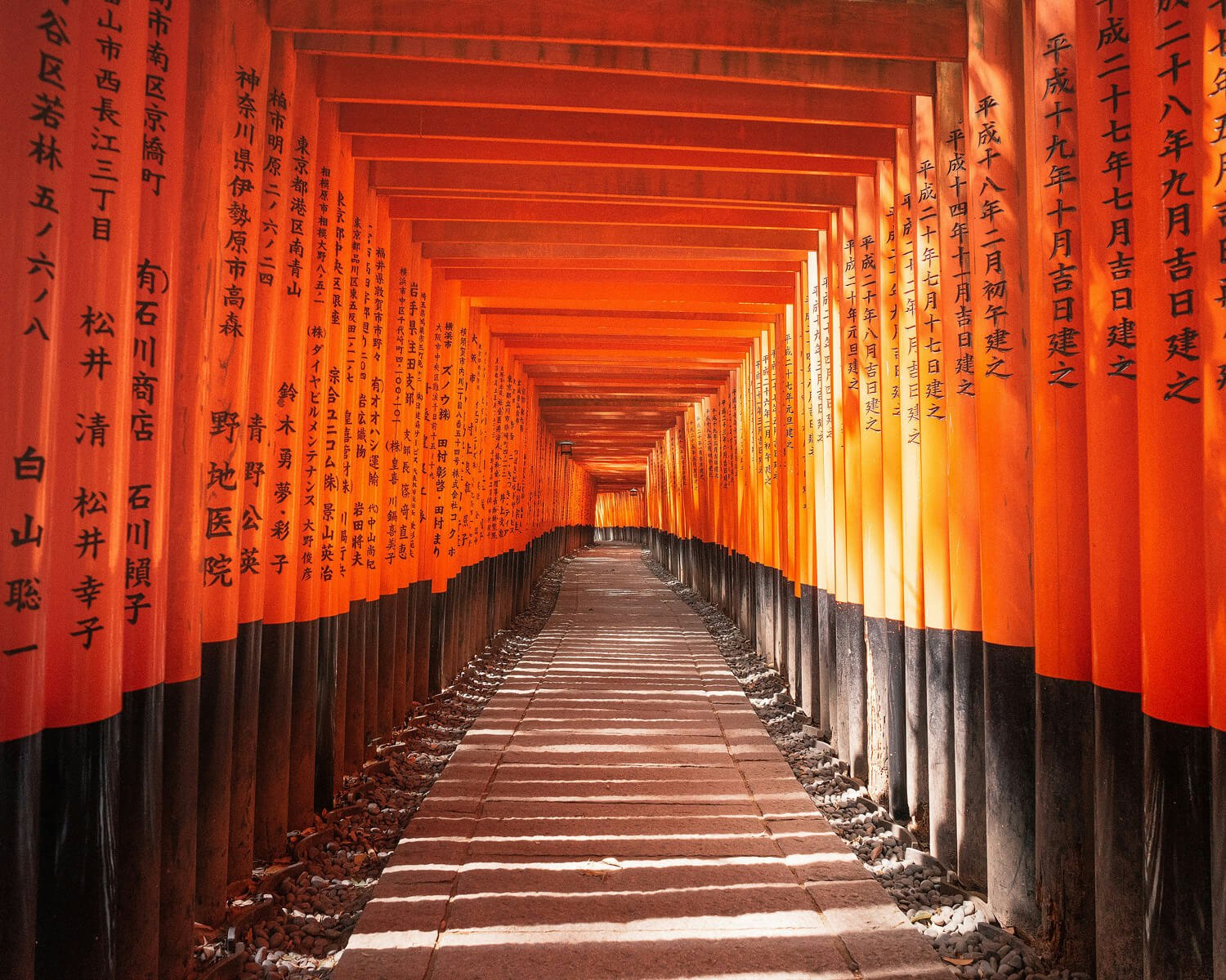 IndieDojo gallery image