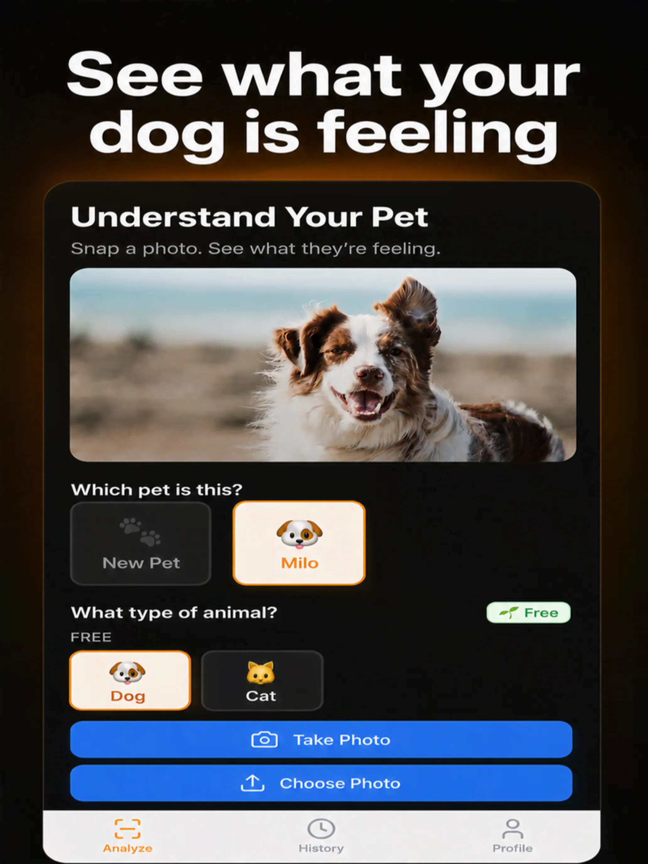 PetsenseAI gallery image
