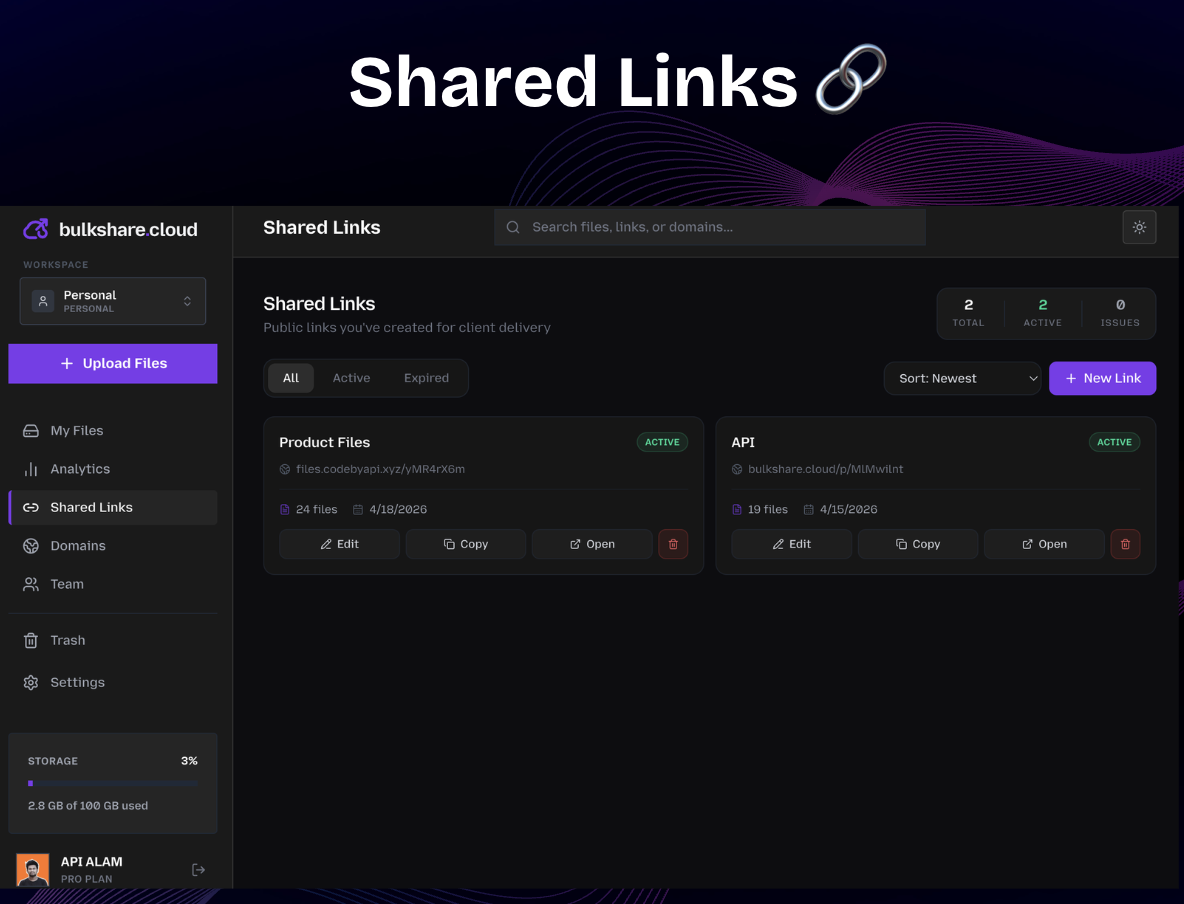 bulkshare.cloud gallery image
