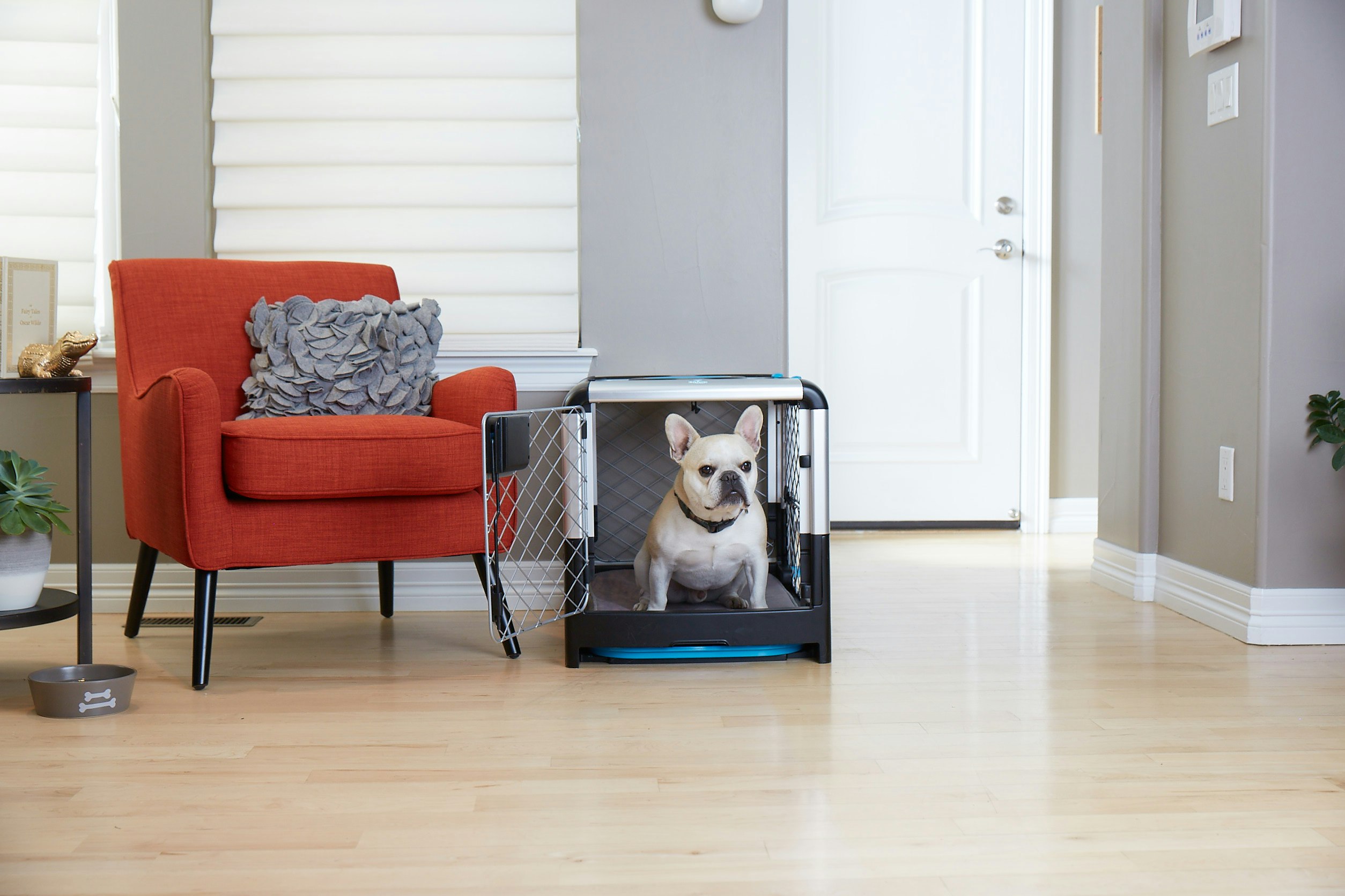 Revol Dog Crate + Snooz Pad: A Dog Crate Revolution gallery image