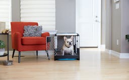 Revol Dog Crate + Snooz Pad: A Dog Crate Revolution media 3