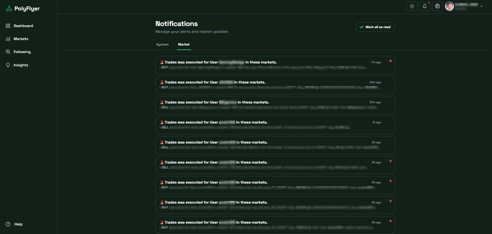 PolyFlyer - Screenshot 5 showing product features and functionality
