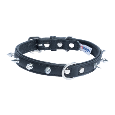 Kolar Multi Line Amsterdam Dog media 4