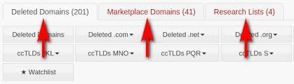 Domain Hunter logo
