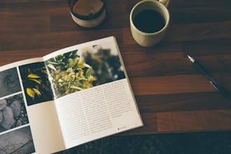 Alabaster gallery image