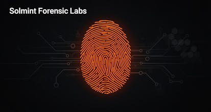 Solana Forensic Wallet Scanner gallery image