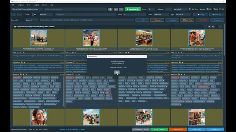 ArtushVision AI screenshot 1 (video preview)