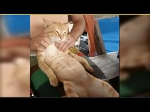 Strobee gallery image