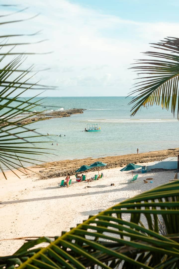 Africantrust Safari media 122