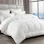 Bedding Planet