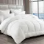 Bedding Planet