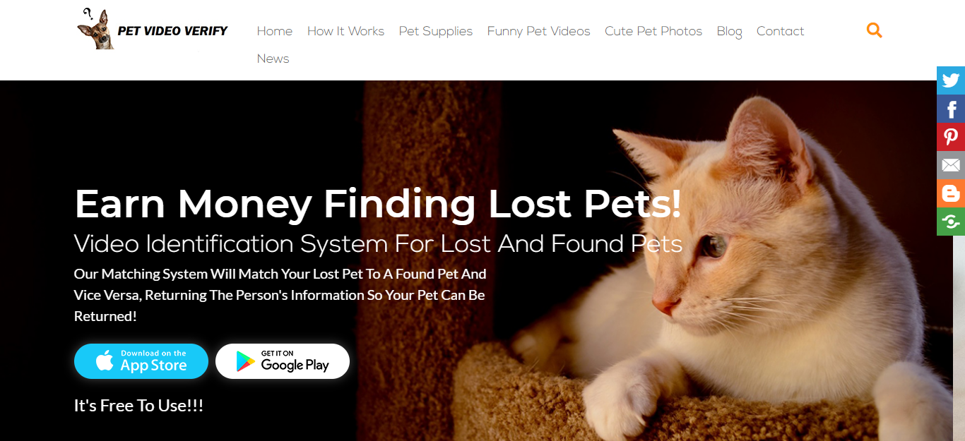 Pet Video Verify Product Information Latest Updates and